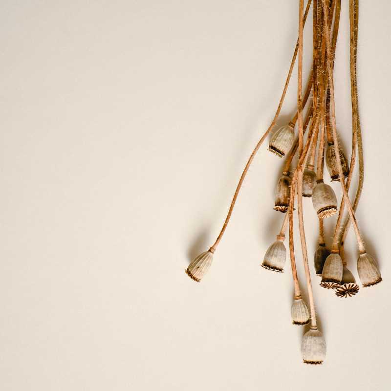 孤独で苦しい方へ|For those of you who are lonely and&nbsp;suffering